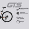Bicicleta Mountain Bike GTS R29 21V Shimano Talle L Bicicleta Mountain Bike GTS R29 21V Shimano Talle L