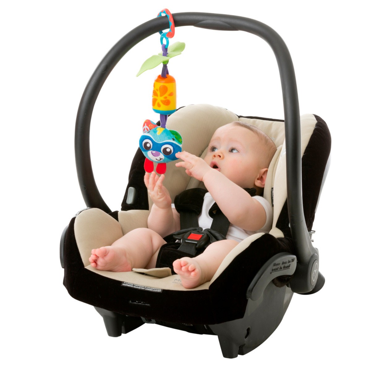 Juguete Playgro Cheeky Chime Rocky Racoon