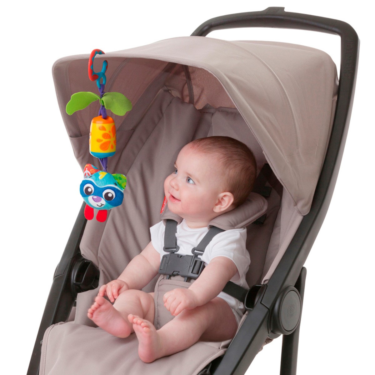 Juguete Playgro Cheeky Chime Rocky Racoon